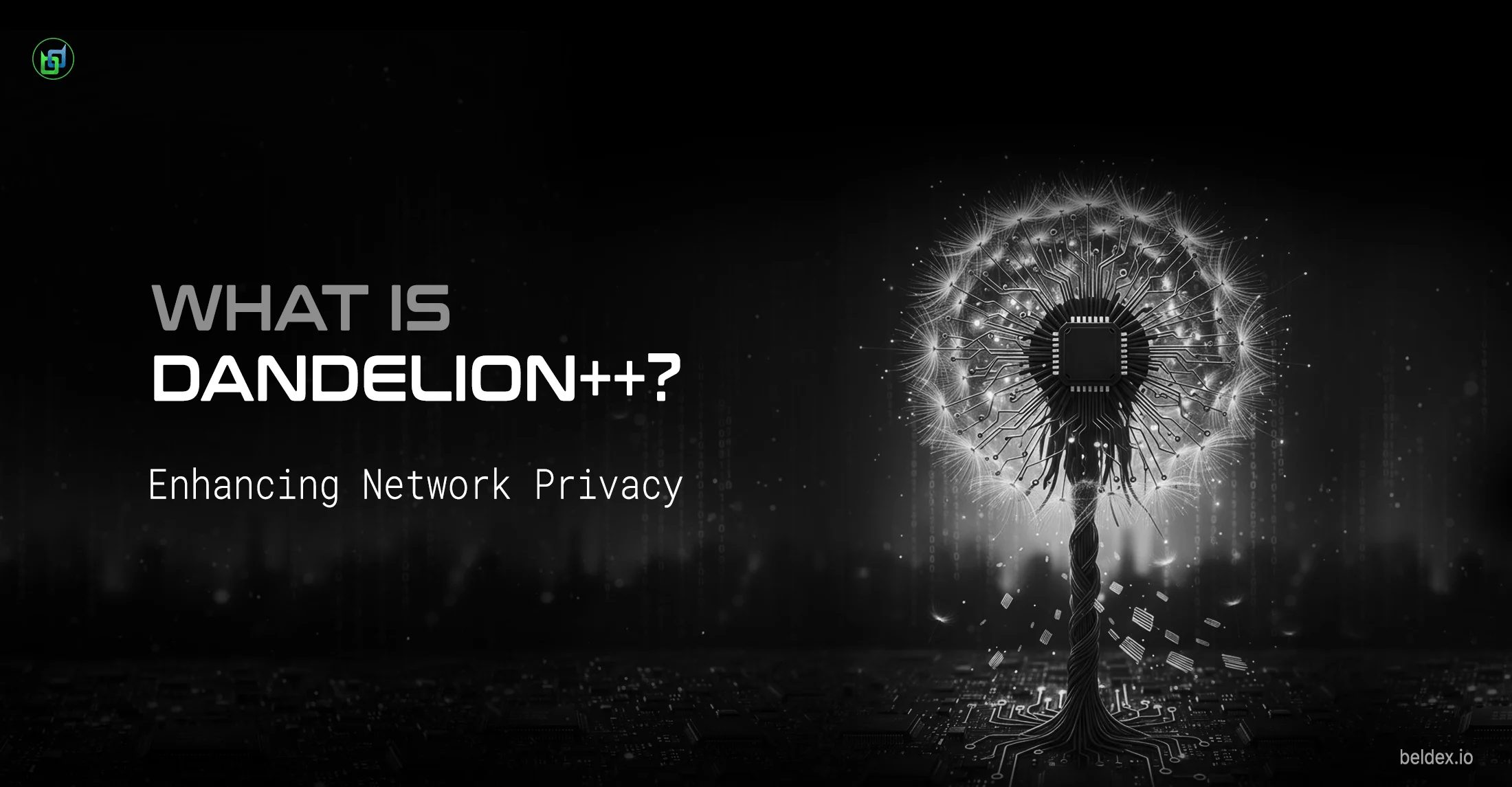 Dandelion network obfuscation for beldex